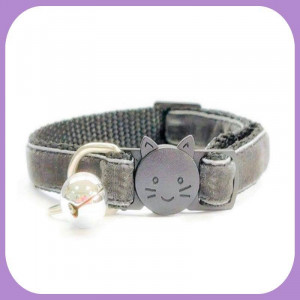 Kitten-109